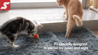 Cheerble Mini WickedBall Interactive Cat Toy (  Smartpaw Online Pet Store )