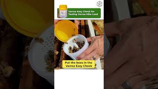 Varroa Mite Detection Made Easy Alcohol Wash with Varroa Easy Check