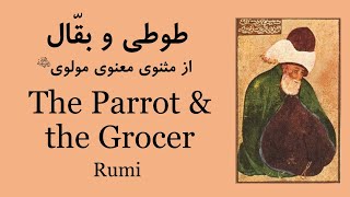 طوطی و بقّال | The Parrot \u0026 the Greengrocer (Rumi)