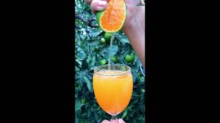 Delicacies Natural Orange Juice #Shorts