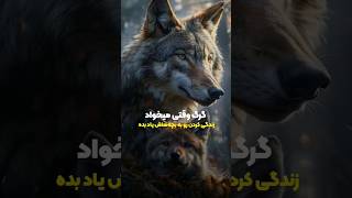 گرگ اینجوری زندگی کردن رو به بچه‌هاش یاد میده