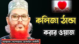 কলিজা ঠান্ডা করার মত ওয়াজ/আল্লামা দেলোয়ার হোসাইন সাঈদী ওয়াজ/Delowar hossain Saidi bangla waz,waz