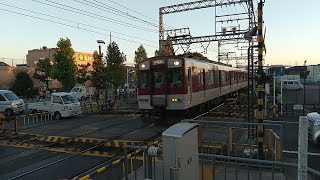 近鉄1233系VE37+8600系X53編成の急行京都行き 寺田駅