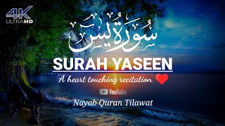 Most Beautiful Recitation Of Surah Yaseen (Yasin) | سورة يس | Nayab Quran Tilawat