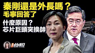 什麼原因？千億芯片巨頭突然「換帥」；秦剛還是外長嗎？毛寧回答了；中南海时隔8年，為何再提「隐蔽战线」？青島上空驚現超大日暈，什麼兆頭？| #新唐人快報 7/17/2023