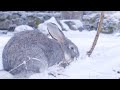 머물다가세요 순백 겨울 모악산 도립공원