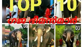 കേരളത്തിലെ TOP 10 ഗജ ഭീമൻ മാർ