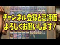 【ヴァンガード】新ライドライン対決！ネルトリンガーvsグリードン【対戦動画】