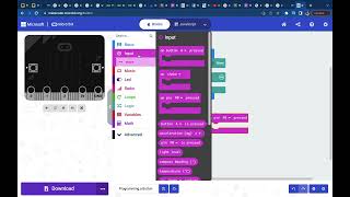 Programming an external button (P0) for Micro:Bit on MakeCode