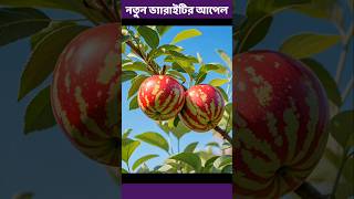 নতুন ভ্যারাইটির আপেল চাষ করুন। #apple #gardening