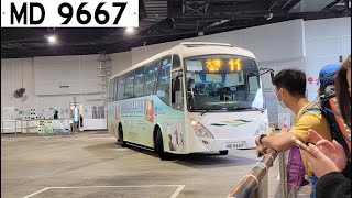 [2022.02.07] NLB MN59 MD9667 @ 11 東涌 - 大澳 [全程 無剪接]