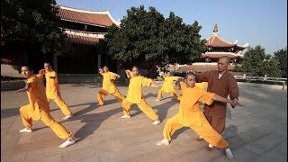 Southern Shaolin’s kung fu monks battle for attention