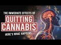 What Happens to Your Body When You Quit Cannabis