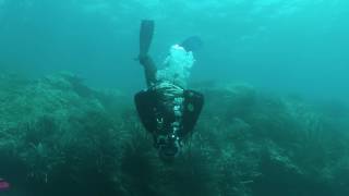 Diving near Tabarca in the Mediterranean