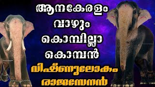 വിഷ്ണുലോകം രാജസേനൻ |visnulokam rajasenan story|anjana jayan|#2023 #aana #aanapremi #pooram