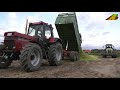 mais häckseln futter für die milchkühe familienbetrieb aus niedersachsen maisernte harvest corn