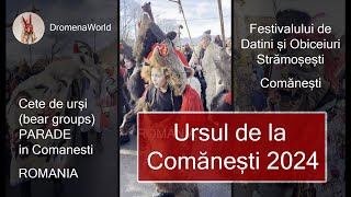 Ursul de la Comănești 2024 | 1000 \