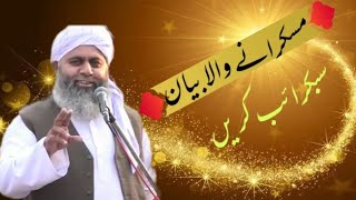 molana Abdul hameed tonsvi 2021