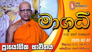 Maagadhi - මාගධී (පාලි අපේ තක්‍ෂලාව)  | 2025-02-07 | 8.45 PM