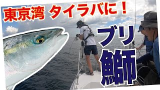 タイラバタックルにワラサが来て さぁタイヘン！東京湾ジギング＆タイラバ  夏の釣り