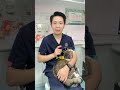 终结猫咪半夜跑酷，生物钟同步大法 轻松学会！ 新手养猫 猫咪立规矩 科学养猫 养猫经验 养猫日常