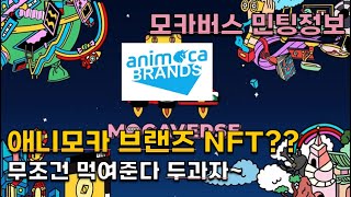 애니모카 브랜즈 NFT 떴다!! 모카버스(MOCAVERSE) NFT 민팅정보 소개