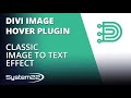 Divi Image Hover Plugin Classic Image To Text Effect 😎