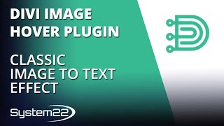 Divi Image Hover Plugin Classic Image To Text Effect ๐