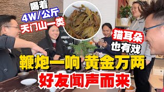 鞭炮一响，黄金万两！好友闻声而来，喝着天门山，猫耳朵也有戏！购茶请添加微信/赖line2号店：HDLG002（同号，搜索即可）#普洱茶 #茶文化 #普洱茶要怎么泡 #古树茶