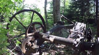 Horse Powered Lawnmower Deering Ideal