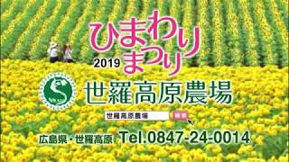 世羅高原農場ひまわりまつり2019