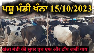 पशु मंडी खंन्ना 15/10/2023. most cheapest cows market in Khanna mandi. cows video. jbs video. Punjab