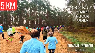 5 KM Treadmill Workout Scenery | Virtual Run / Walk ASMR | Hogmore Inclosure parkrun Surrey