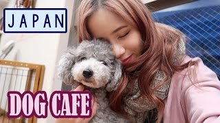 DOG CAFE IN JAPAN! | Harajuku