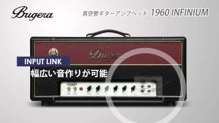 BUGERA  / 真空管ギターアンプヘッド 1960 INFINIUM