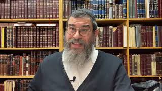 Chassidic Glossary: Or Ein Sof אור אין סוף   #5, Rabbi Yossi Paltiel, 5782