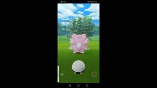 ポケモンGoの春イベントで、野生のハピナス、色違いラッキーをゲットしました！