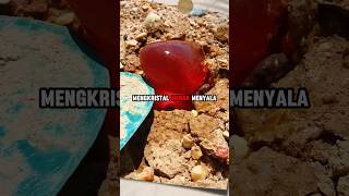 😱 Tiba-Tiba Nemu Batu Kristal Merah Menyala #batukristal #kristal #mencarikristal