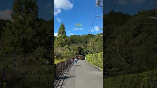 Travel in Japan 🇯🇵 盡收眼前美景 沒理由不愛日本🥹#日本 #京都 #大阪 #京都車站 #嵐山 #御髪神社 #花見小路 #渡月橋 #大阪城 #心齋橋 #道頓堀 #環球影城