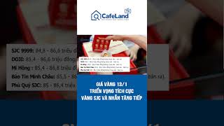 Giá vàng hôm nay 13/1: Triển vọng tích cực, vàng SJC và nhẫn TĂNG TIẾP? | CafeLand #shorts