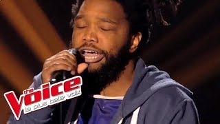 Britney Spears – Toxic | Spleen | The Voice France 2014 | Blind Audition