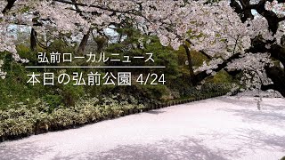 Today's Hirosaki Park April 24th Edition