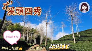 溪頭四秀250117 台南阿德旅遊