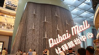 [購物] 世界最大購物中心 - 杜拜購物中心 The Biggest Shopping Mall in the World - Dubai Mall