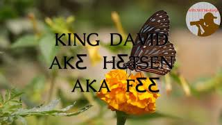 KING  DAVID          AKƸ   HƸTSEN   AKA   FƸƸ               [ Official Audio ]