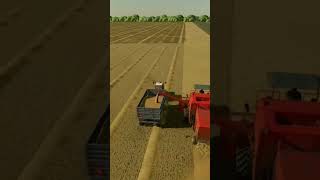 Największe Żniwa w Farming Simulator22.Odcinek 49. #farmingsimulator22 #fs22