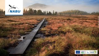 The benefits of peatland restoration for Europe