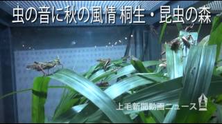 虫の音に秋の風情 桐生・昆虫の森