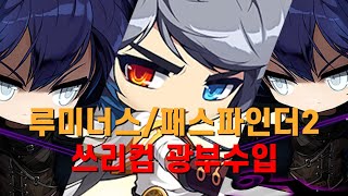 [메이플스토리] 루미너스/패파2마리 쓰리컴 세르니움 광부수입