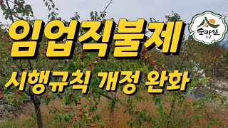 임업직불제 시행규칙개정 임업종사일수 완화 임업경영체 임업직불금 농업경영체 귀농귀촌정보 귀산촌정보 산림 임업 약초 약용식물 독림가 임업후계자 임산물 경북농민사관교 6차산업 숲해설